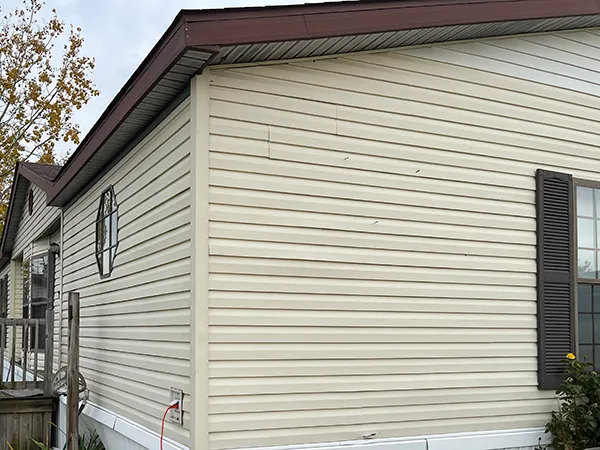  Vinyl Siding Lake Odessa MI