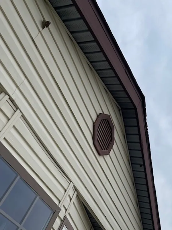 Lake Odessa MI Vinyl Siding