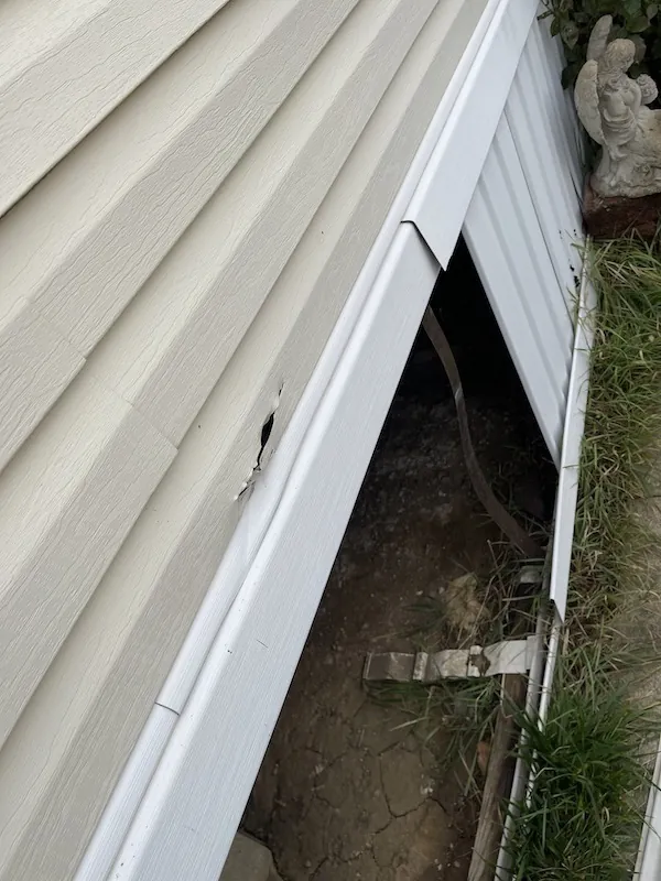 Vermontville MI Vinyl Siding